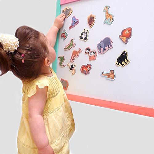MAGDUM ZOO animal magnets for kids -real LARGE fridge magnets for toddlers- Magnetic EDUcational toys baby 3 year old baby LEARNing magnets for kids- Kid magnets Magnetic THEATRE-jungle animal magnets