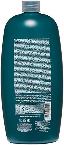 Alfaparf Hair and Scalp Care (Repair), 1000 ml -Shop for Alfaparf Hair and Scalp Care Shampoo Repair 1000 ML at best price, this shampoo is perfect for Unisex hair treatment, hair styling, So Order it Now.- Stabeto
