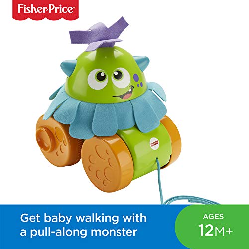 Fisher-Price FHG01 Walk and Whirl Monster, Toddler Pull Along Toy with Colours and Textures, Suitable for 1 Year Old