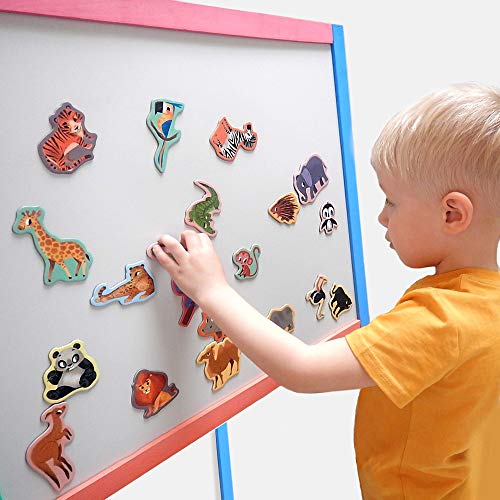 MAGDUM ZOO animal magnets for kids -real LARGE fridge magnets for toddlers- Magnetic EDUcational toys baby 3 year old baby LEARNing magnets for kids- Kid magnets Magnetic THEATRE-jungle animal magnets
