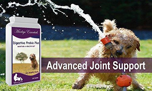 Marleys Essentials DIGESTIVA PROBIO Plus for Dogs and Cats - Stabeto