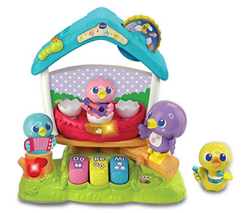 VTech Singing Bird House Baby Musical Toy, Educational Baby Toy with Colours, Numbers, Letters & Sounds, Electronic ABC Preschool Toy Suitable for Boys & Girls for 12 Months, 2 & 3 Year Olds