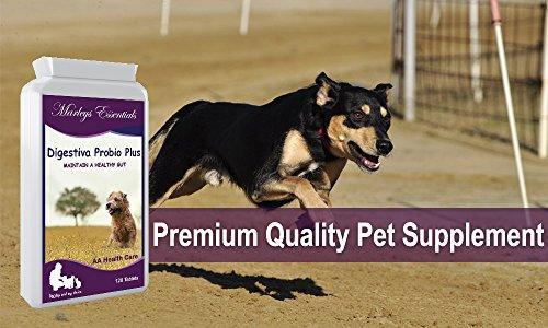 Marleys Essentials DIGESTIVA PROBIO Plus for Dogs and Cats - Stabeto